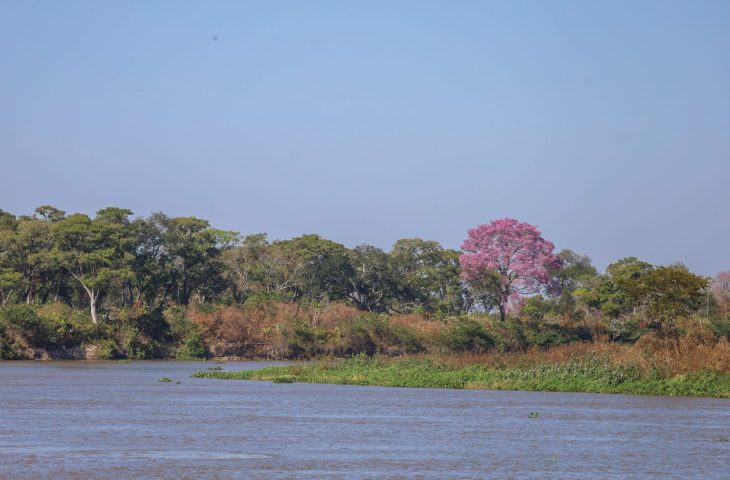 Frente fria avança e aumenta a instabilidade em Mato Grosso do Sul neste domingo.
