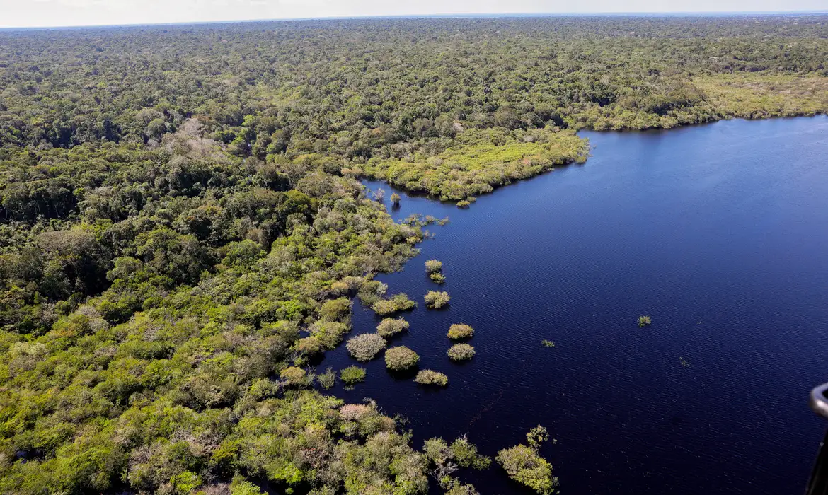 Financiamento da sustentabilidade na Amazônia contará com novo fundo