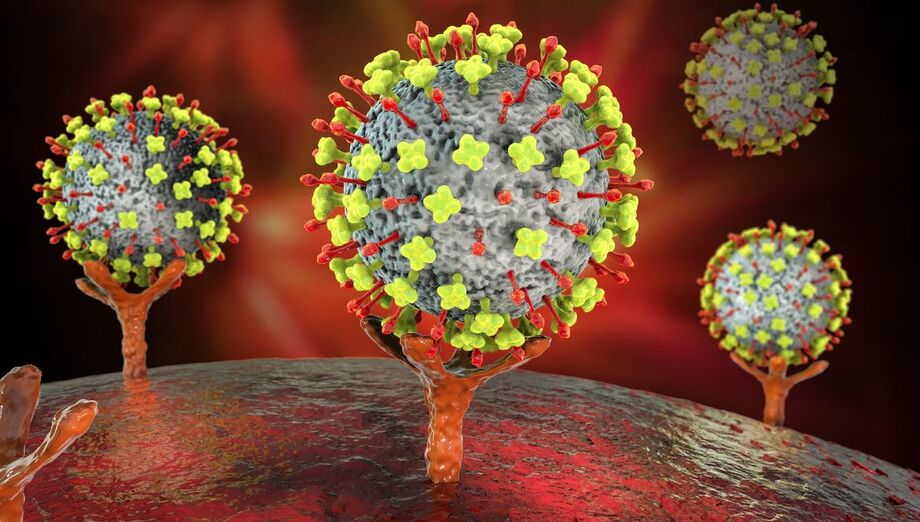 Ilustração do vírus Nipah atacando uma célula humana; infecção pode levar à morte
