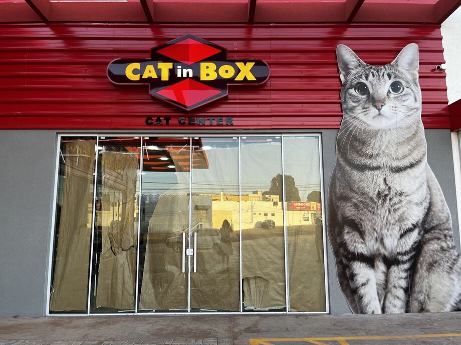 Campo Grande vai receber a primeira loja especializada em produtos e serviços para felinos, a Cat in Box