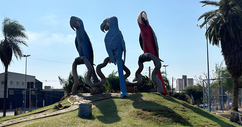 A Praça das Araras é um dos principais pontos turisticos do bairro Amambaí