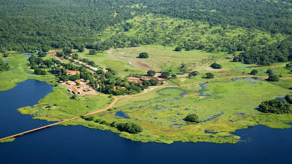 Refúgio Ecológico Caiman fecha temporariamente devido a danos graves causados pelo fogo