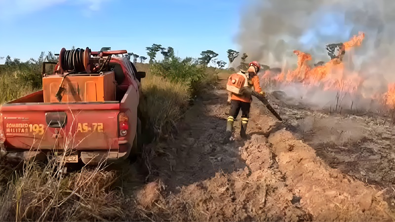 A Operação Pantanal 2024 mobiliza 138 militares do Corpo de Bombeiros de MS, mais 88 da Força Nacional, além de forças de segurança e brigadistas.