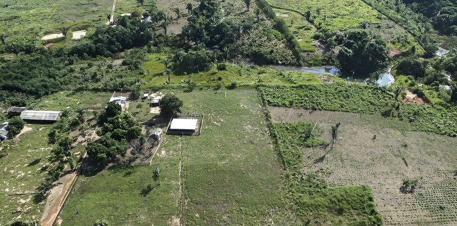 O não cumprimento do prazo, poderá acarretar a perda da propriedade para União