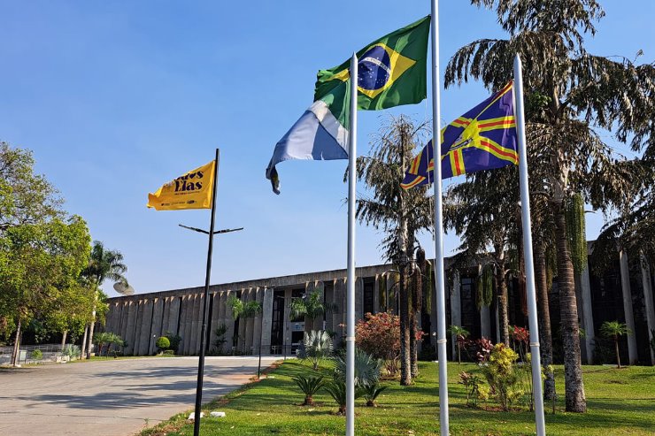 A Campanha #TodasPorElas em parceria com os outros Poderes tem caminhada prevista para o último sábado de agosto