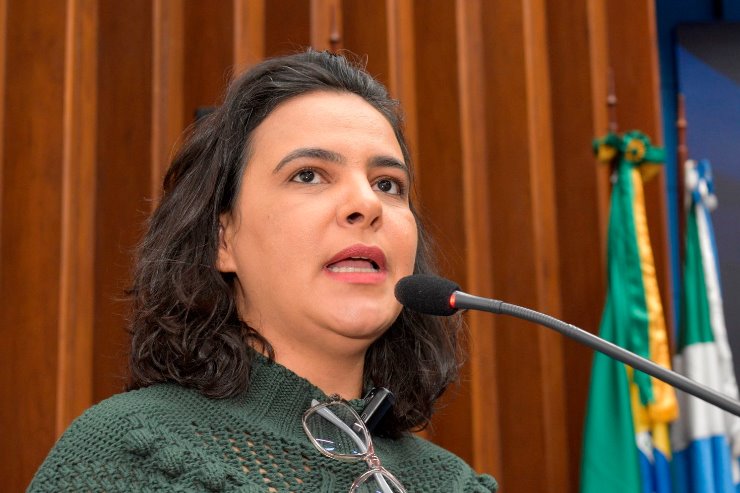Gleice reivindica ações do MMA, Ibama e Cesp após alerta de ribeirinhos em Batayporã
