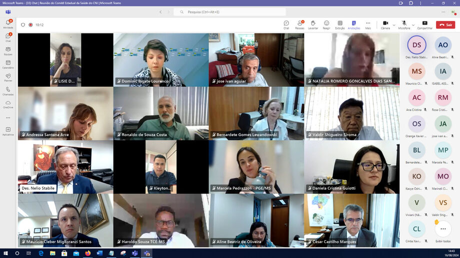 Em videoconferência, Comitê de Saúde discute soluções para demandas