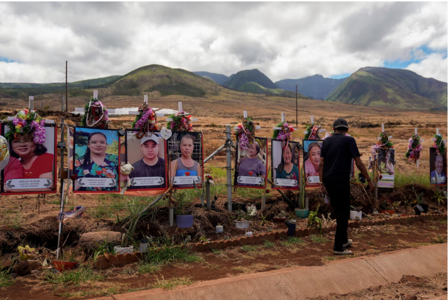 As queimadas começaram em 8 de agosto do ano passado e varreram mais de 200 hectares, deixando 102 mortos.