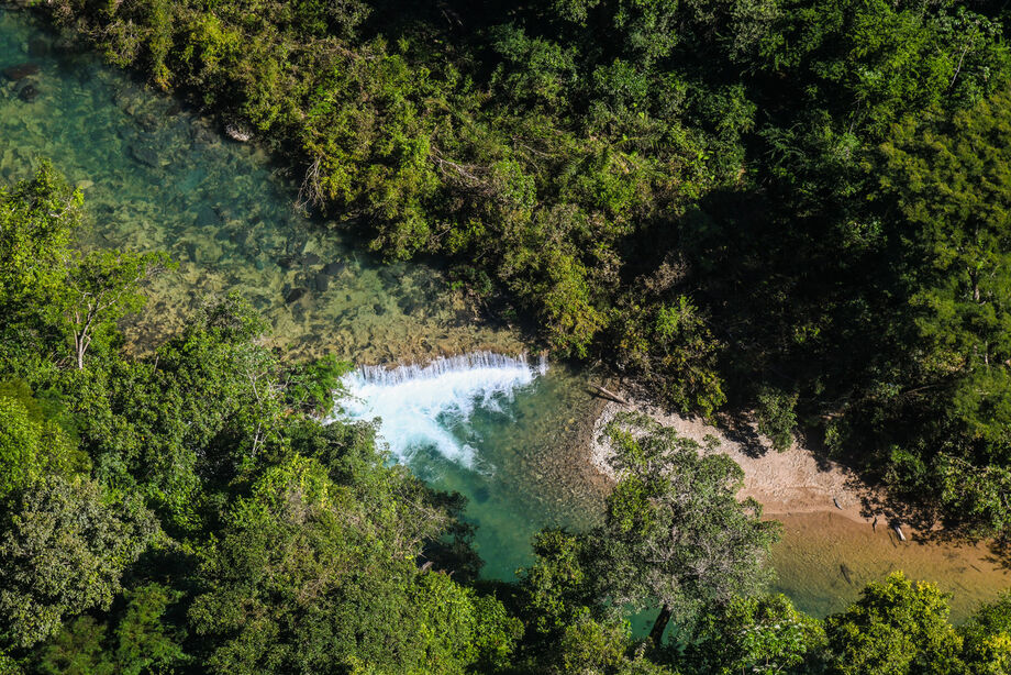 Projeto Água Vida instala viveiro de mudas de árvores nativas em Bonito