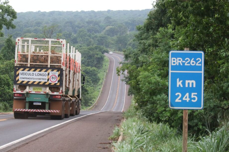 Rodovia BR-262, em Mato Grosso do Sul