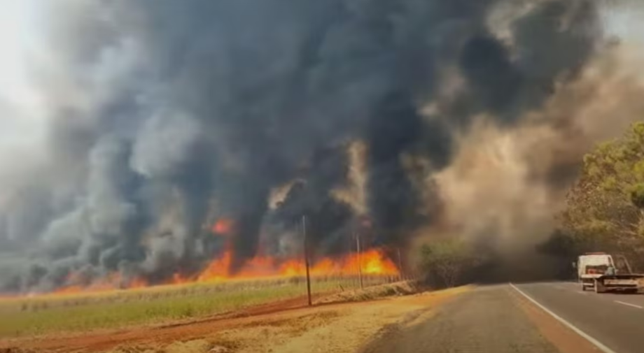 Governo de SP determina instauração de gabinete de crise para incêndios. Na foto, incêndio na região de Sertãozinho, sentido Ribeirão Preto, interior paulista.