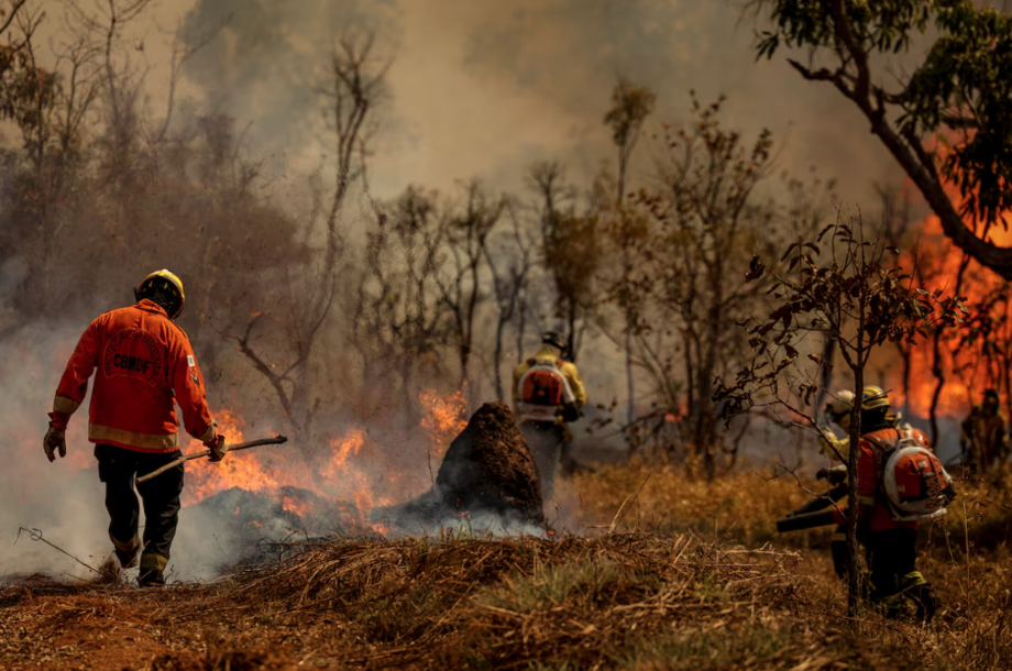 Brigadistas do Instituto Brasília Ambiental e Bombeiros do Distrito Federal combatem incêndio em área de cerrado próxima ao aeroporto de Brasília