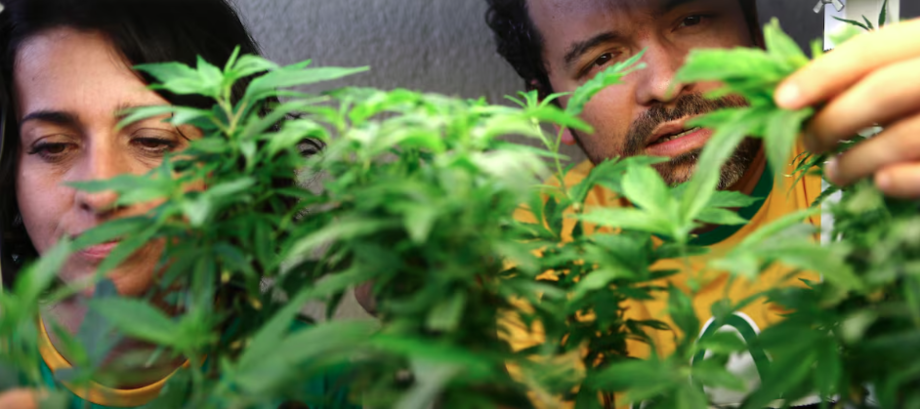 Comissão especial que analisa PEC das drogas na Câmara atinge número necessário para instalação
