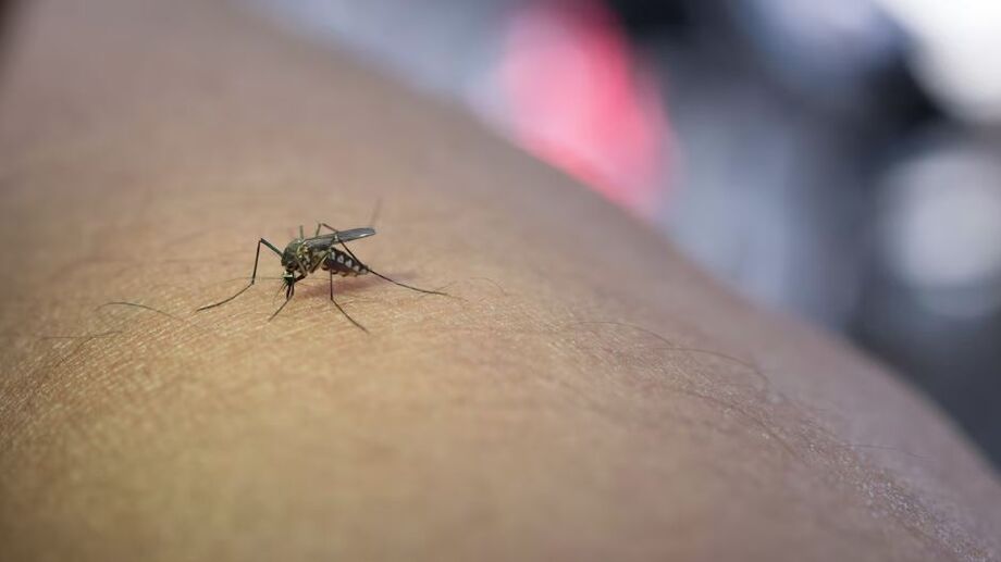 Medida deve beneficiar crianças com microcefalia, que foram infectadas pelo vírus ainda durante a gestação