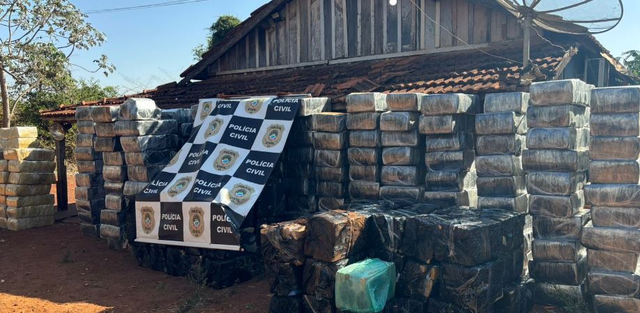 Polícia Civil realiza a maior apreensão de maconha da história de Itaporã e prende responsável pelo tráfico