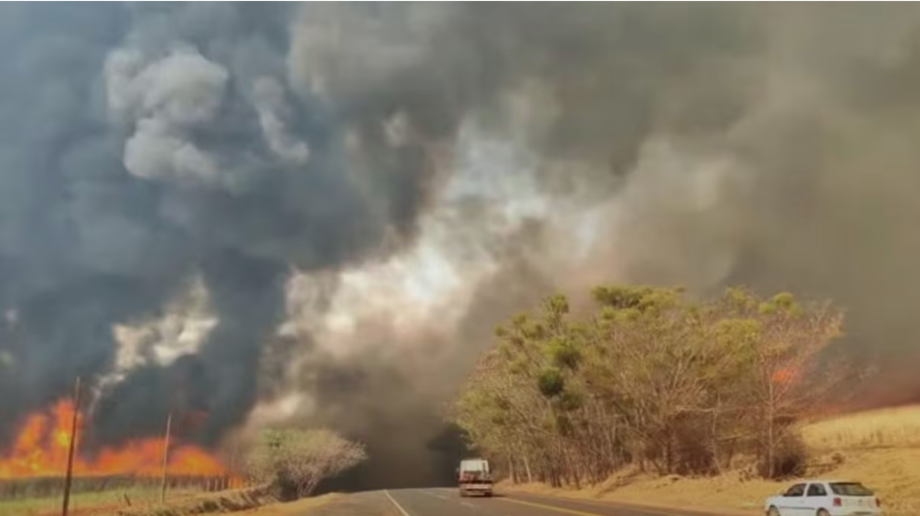Fumaça de incêndios no interior paulista atingem festival de música em Altinópolis, região de Ribeirão Preto