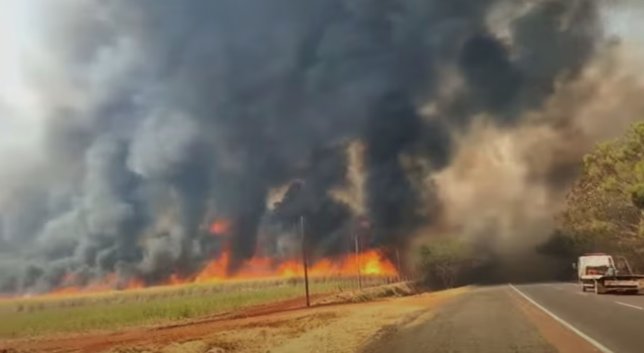 Imagem de incêndio no interior de São Paulo