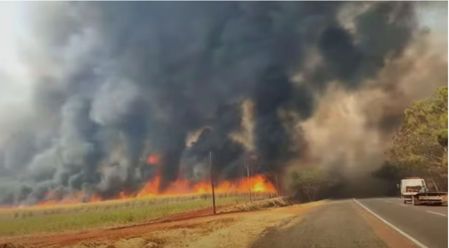 São Paulo eleva para 46 o número de cidades em alerta máximo para queimadas