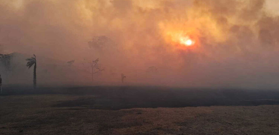 Incêndio no Pantanal