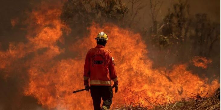 PF abre dois inquéritos para investigar suposta ação criminosa em incêndios no interior de SP