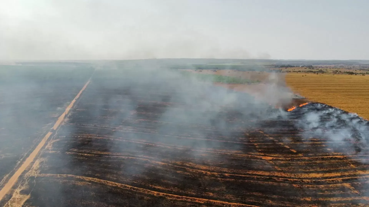 O fogo atingiu pastagens, áreas de preservação permanente (APP) e reserva legal, causando grande prejuízo ambiental e econômico.