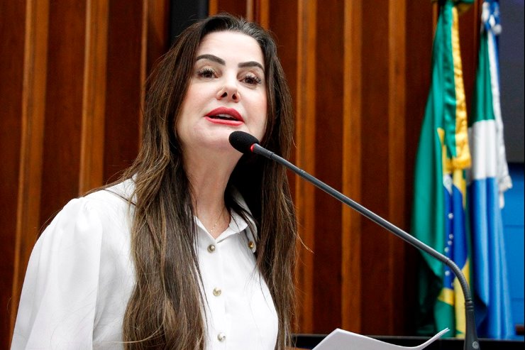 Deputada Mara Caseiro (PSDB)