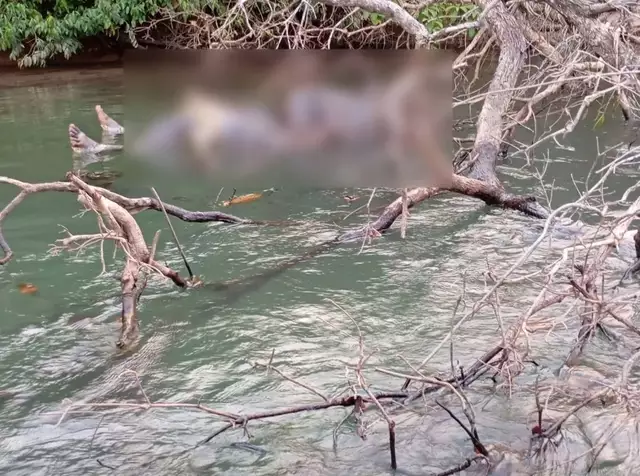 Vítima não identificada é achada enroscada em galhada; a busca por respostas continua em Água Clara