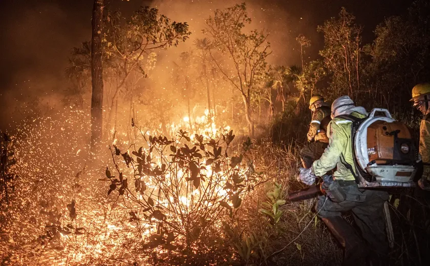 Bombeiros em Mato Grosso combatem 49 focos de incêndio em 30 municípios