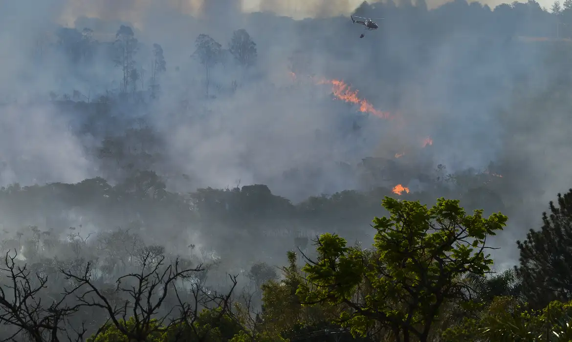 O estudo informa também que a área queimada equivale a 43% de toda a extensão do Cerrado brasileiro e supera o território do Chile e Turquia