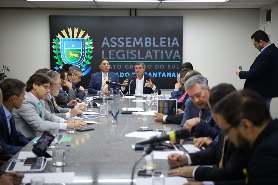 Governador explicou as vantagens do projeto Rota da Celulose