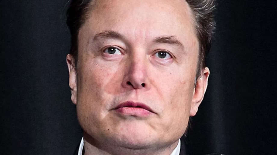 O bilionário Elon Musk.