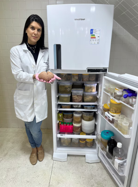 Geladeira com os cérebros coletados durante o projeto de doutorado da Kamilla e que agora constituem parte da coleção da Rede Brasileira de Neurobiodiversidade na UFRJ.