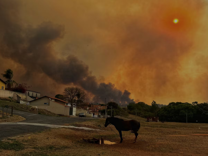 Grande incêndio atingiu matas e canaviais na zona rural de Poloni, no noroeste paulista