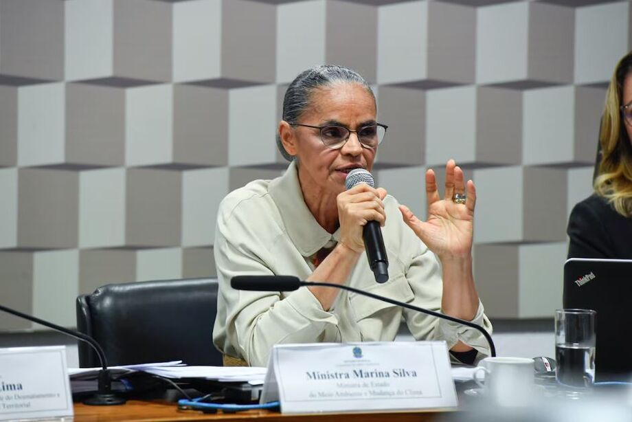 Ministra foi à Comissão de Meio Ambiente para falar sobre a situação dos incêndios e queimadas em todo o País