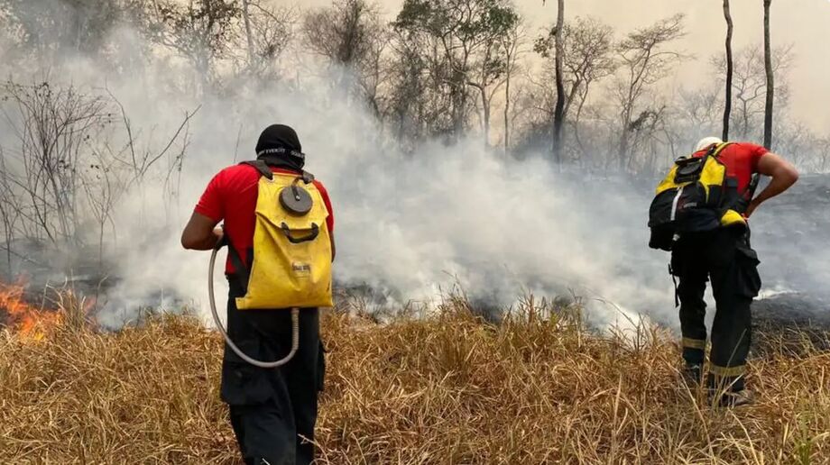Incêndio na Floresta Nacional de Brasília é extinto
