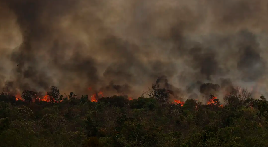 Secretário do MMA vê conotação politica em queimadas na Amazônia