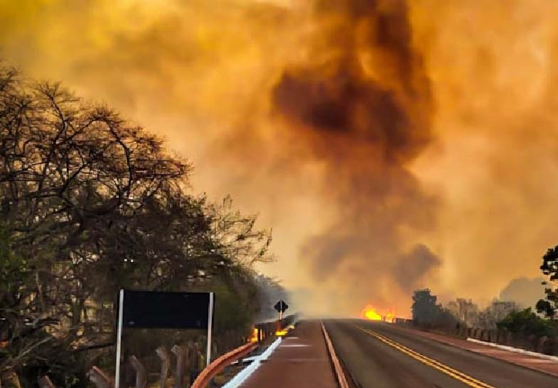 Incêndio em fazenda de Campo Grande destrói 200 hectares de pastagens e mata, sendo controlado por produtores locais. Bombeiros não compareceram e a causa do fogo segue desconhecida.