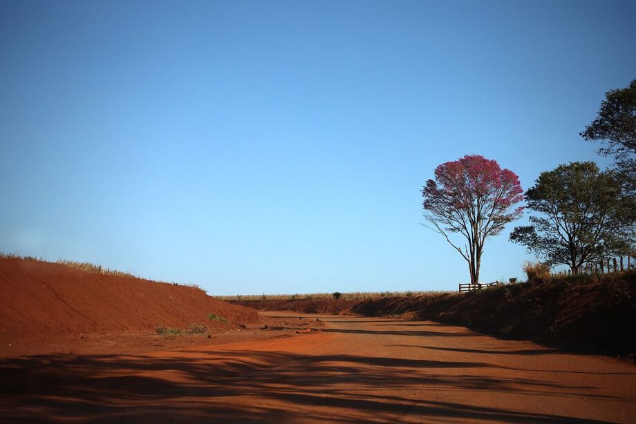 Em Campo Grande, o dia inicia com 21°C e atinge máxima de 36°C