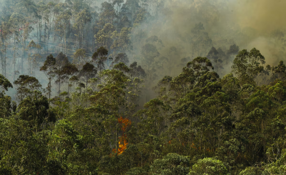 Incêndio em mata na cidade de Mairiporã, na Grande São Paulo.