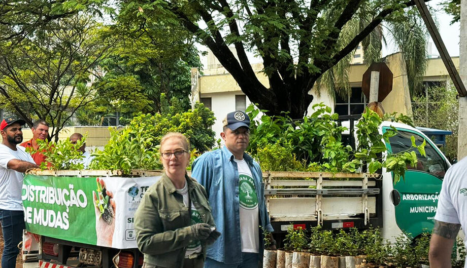 Segundo a equipe de distribuição, a meta é entregar todas as mudas ao longo do dia ou até que se esgotassem