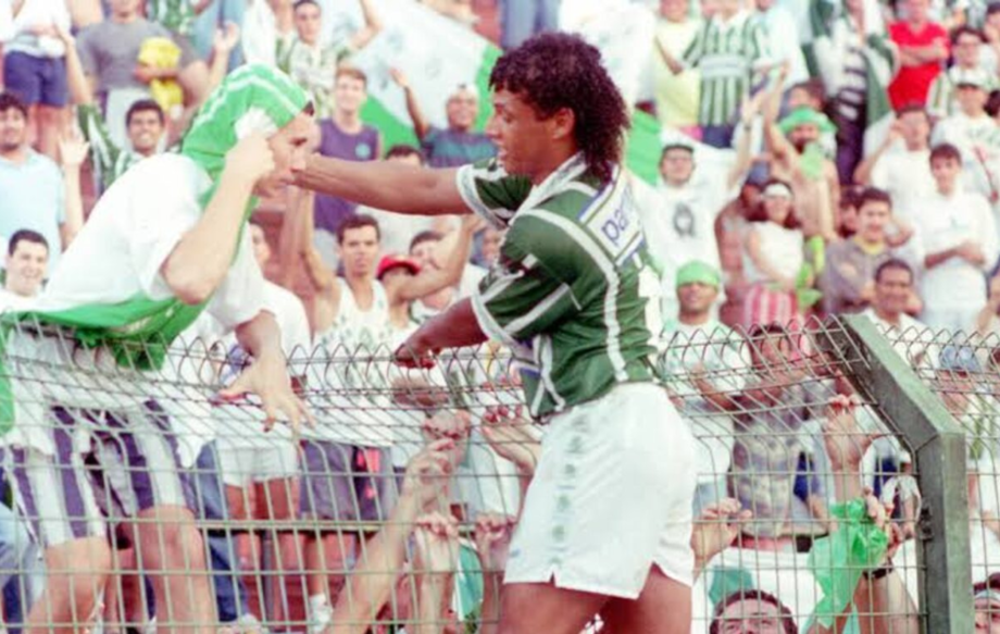Tonhão foi bicampeão brasileiro pelo Palmeiras.