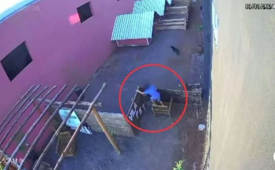 Menino torturou e matou 23 animais nem Nova Fátima, no Paraná, na noite de domingo, 13