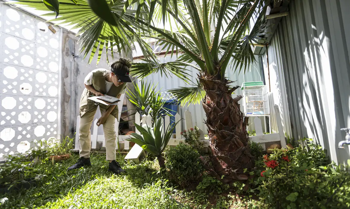 Prevenção de dengue deve ir além de mensagens sobre hábitos e cuidados