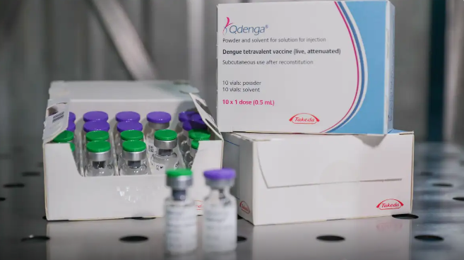 Fiocruz oficializa pedido para produzir vacina contra dengue no Brasil