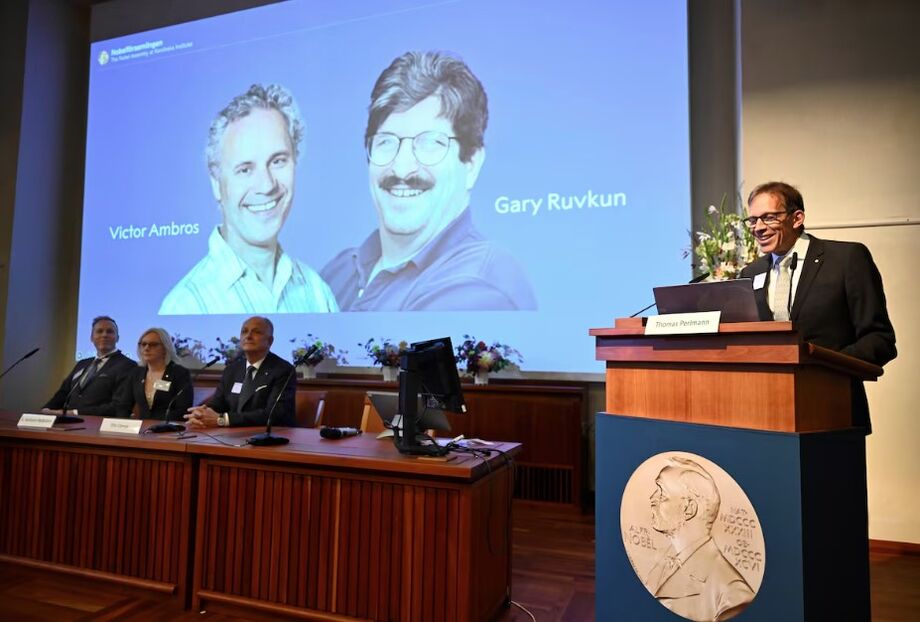 O presidente do comitê do Nobel, Thomas Perlmann, à direita, anuncia que os americanos Victor Ambros e Gary Ruvkun são os laureados com o prêmio de Medicina