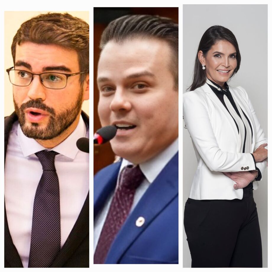 José Maciel Souza Chaves, Márcio de Ávila Martins Filho e Silmara Amarilla