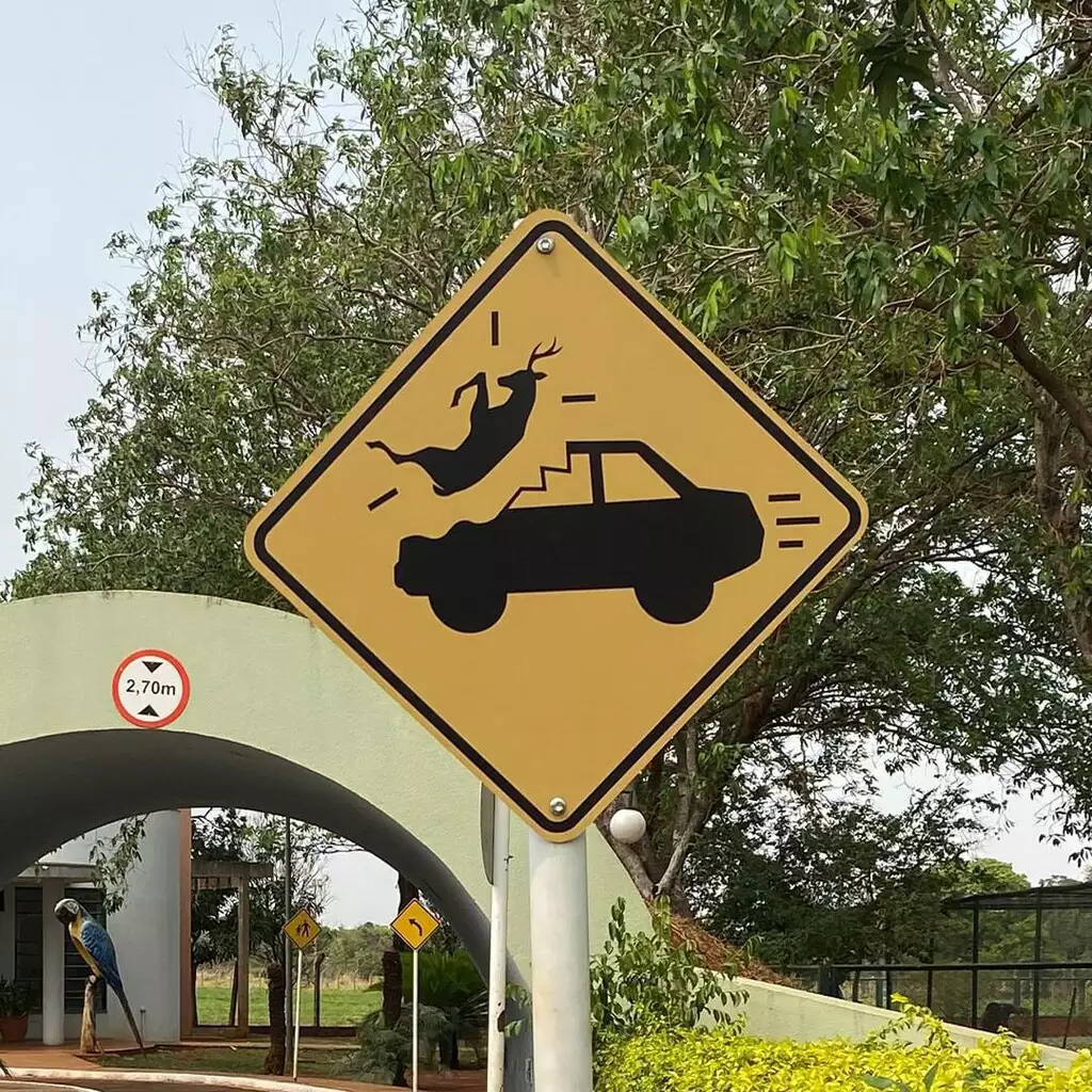 Nova placa na BR-262 alerta motoristas para travessia de animais; projeto visa reduzir acidentes com sinalização impactante.