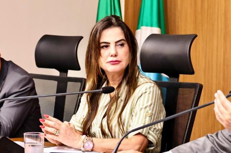 Mara Caseiro pede a ampliação da ponte sobre o Rio Indaiá em Chapadão do Sul