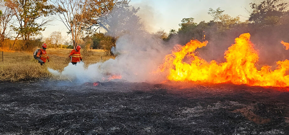 Área do Pantanal afetada pelas queimadas em 2024, evidenciando a urgência de medidas de conservação.