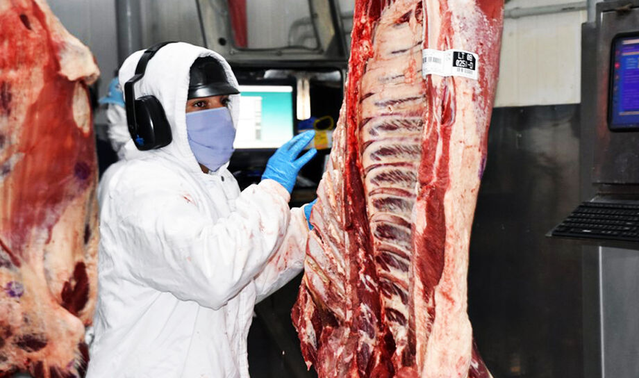 Frigoríficos de MS suspendem exportação de carne para os EUA após tarifa de 50% anunciada por Trump
